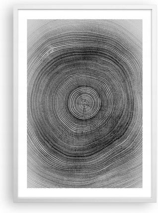 Arttor Plakat w ramie białej do Salonu Sypialni 50x70 Drzewo Nowoczesny obraz (P2WPA50X705361)