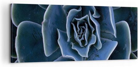 Arttor Obraz na płótnie do Salonu Sypialni 120x50 Kwiat Agawy Obrazy na ścianę (AB120X505008)