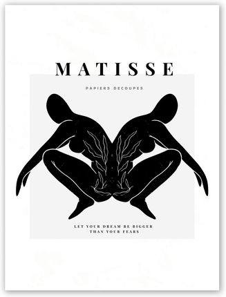 Kmbpress Matisse papiers decoupes Plakat 40x50 cm #T24