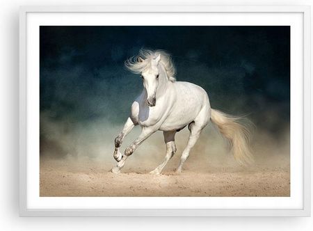 Arttor Plakat w ramie białej do Salonu Sypialni 70x50 Koń Nowoczesny obraz (P2WAA70X505252)