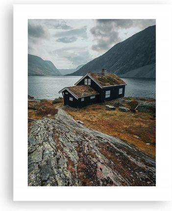 Arttor Obraz Plakat bez ramy 40x50 Norwegia Foto Plakaty do Salonu Sypialni (P2XPA40X506093)