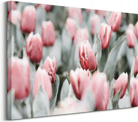 Pyramid International Różowe tulipany Kwiaty obraz na płótnie 80x60 cm (CS4424)
