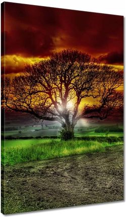 Zesmakiem Obrazy 40x60 Magiczne drzewo krajobraz (H23Z_PC1F_40X60CM)