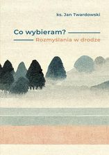 Zdjęcie Co wybieram? Rozmyślania w drodze - Pniewy