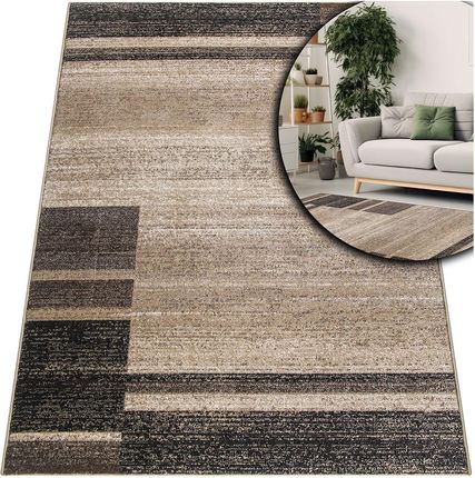 Toda-Carpets Modne Dywany Do Salonu Adventure Fryz Brązowy Miękki Nowoczesny 200x300