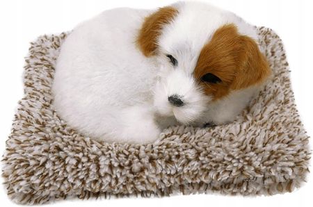 Idealne Prezenty - Stawscy Śpiący Pies Piesek Szczekający Figurka Na Posłanku