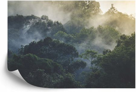 Doboxa Fototapeta Samoprzylepna Azjatycki Tropikalny Las Deszczowy 104x70.5