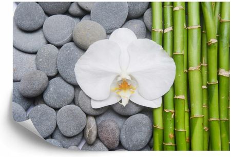Doboxa Fototapeta Samoprzylepna Bambusy Z Kamieniami I Orchideą 300x210