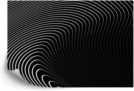 Doboxa Fototapeta Flizelina Zmywalna Of The Gray Pattern Of Lines . Eps10. 360x240