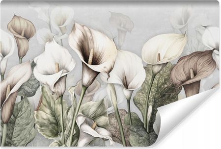 Muralo Fototapeta Do Salonu Malowane Kwiaty Kalie Liście Natura 405x270