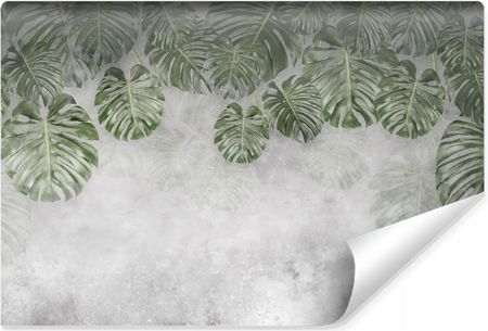 Muralo Fototapeta Liście Tropikalne Monstery Beton Mur Abstrakcja Efekt 3D 135X90
