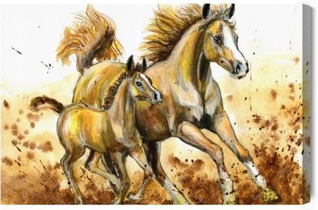 Doboxa Obraz Na Płótnie Galopujące Konie Malowane Akwarelą 90X60 Lb-399-C