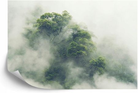 Doboxa Fototapeta Flizelina Zmywalna Tropikalny Las W Japonii Mgła 104X70.5