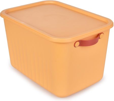 Dedra 14L Pudełko Z Pokrywką Pomarańczowe DA37355