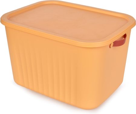 Dedra 22L Pudełko Z Pokrywką Pomarańczowe DA37356