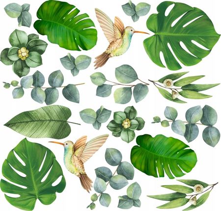 Naklejki Na cian Licie Monstera 100X200Cm Mr5 - Opinie i atrakcyjne ceny  na Ceneo.pl