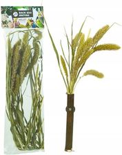 Back Zoo Nature Bukiet Włośnicy W Kłosach Od Zbożowy Bukiet Setaria Dla Wszystkich Papug 30g
