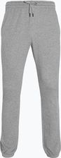 Wilson Spodnie Tenisowe Męskie Team Jogger Medium Gray Heather