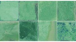 Zdjęcie Geotiles Provence Mint Glossy Do Fugowania 31,5X60 - Lubsko