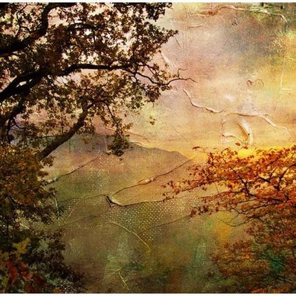 Artpro Fototapeta 3D 400X309 +Klej Malowana Jesień Obraz