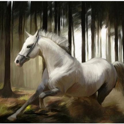 Artpro Fototapeta 3D 400X309 +Klej Biały Koń W Galopie Las