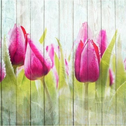Artpro Fototapeta 3D 300X210 +Klej Wiosna Tulipany Drewno