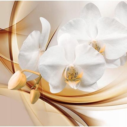 Artpro Fototapeta 3D 350X245 +Klej Kwiat Orchidei