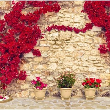 Artpro Fototapeta 3D 300X210 +Klej Czerwone Kwiaty Na Murze