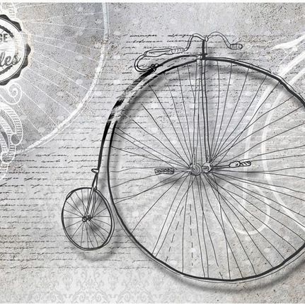 Artpro Fototapeta 3D 250X175 +Klej Bicykl Vintage Retro