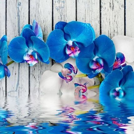 Artpro Fototapeta 3D 400X280 +Klej Kobaltowa Orchidea