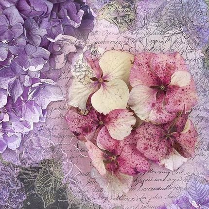 Artpro Fototapeta 3D 400X309 +Klej Róż Fiolet Kwiaty Vintag