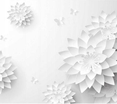 Artpro Fototapeta 3D 400X280 +Klej Orientalne Białe Kwiaty