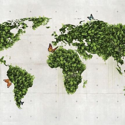 Artpro Fototapeta 3D 300X231 +Klej Zielona Mapa Natura