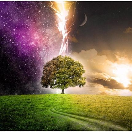 Artpro Fototapeta 3D 200X154 +Klej Magiczne Drzewo Gwiazdy