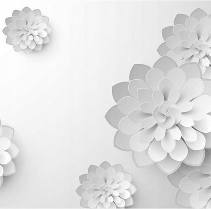 Artpro Fototapeta 3D 350X245 +Klej Białe Kwiaty Optyczne