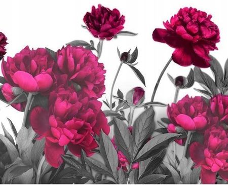 Artpro Fototapeta 3D 300X210 +Klej Fioletowe Kwiaty Łąka