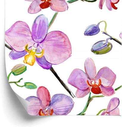 Doboxa Tapeta Do Salonu Orchidee Storczyki Kwiaty Rośliny 53X1000