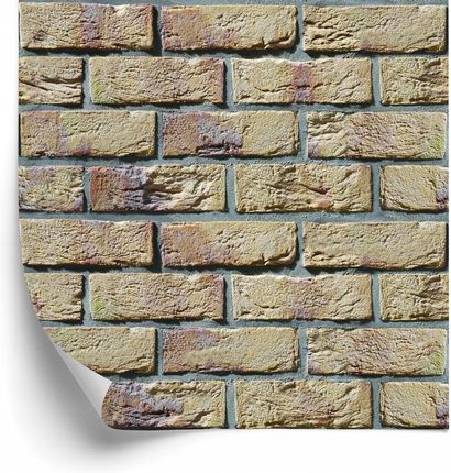 Doboxa Tapeta Kolorowe Cegły 53X1000