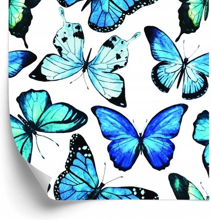 Doboxa Tapeta Dla Dzieci Niebieskie Motyle Akwarela 3D 53X1000