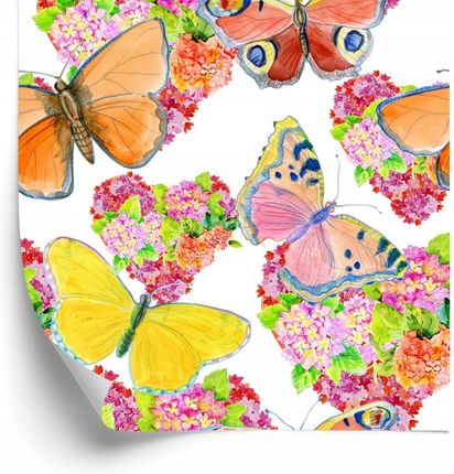Doboxa Tapeta Motyle Kolorowe Kwiaty Pokój Dziecięcy 53X1000