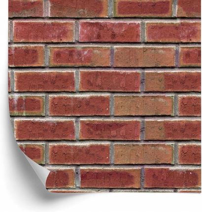 Doboxa Tapeta Do Salonu Ceglana Ściana Cegły Efekt 3D 53X1000
