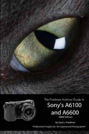 Friedman Archives Guide to Sony's Alpha 6100 and 6600 (B&W Edition)