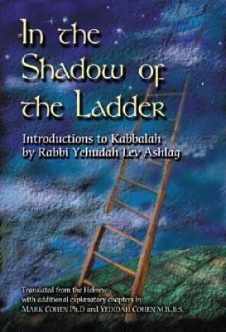 In the Shadow of the Ladder - Literatura obcojęzyczna - Ceny i opinie ...