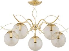 Zdjęcie Alfa Panda Gold Op. Ośw. 5 Pł (63210) - Knurów