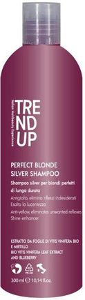 Trend Up Szampon Silver Do Włosów Blond Siwych Rozjaśnianych I Po Dekoloryzacji 300 ml