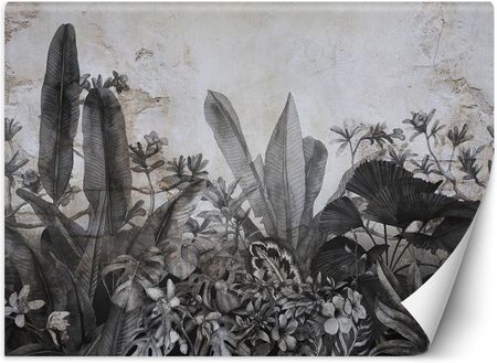 Caro Fototapeta Czarno białe liście tropikalne na tle betonu 100x70