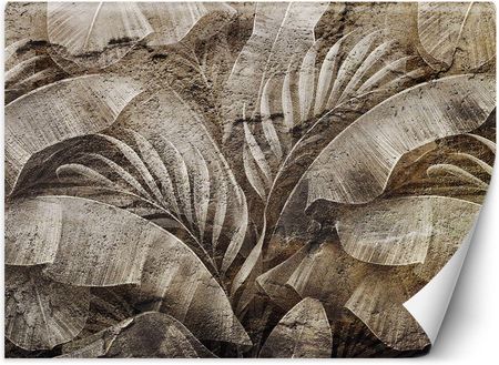 Caro Fototapeta Tropikalne liście tekstura beton 100x70
