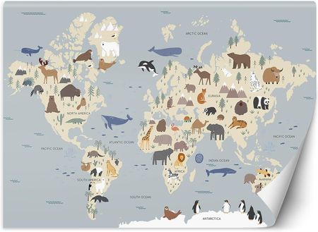Caro Fototapeta Pastelowa mapa kontynentów 100x70