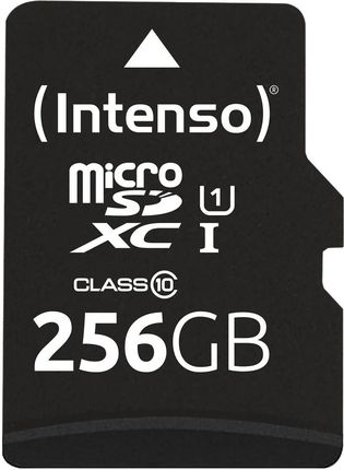 Intenso Microsd 256GB Uhs-I Perf Cl10| Performance (3424492)