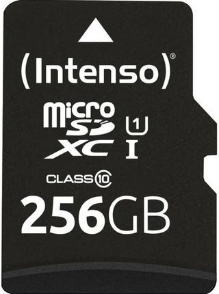 Intenso microSD 256GB microSDXC Performance, 256GB, Class 10 UHS-I